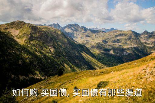 如何購 買國(guó)債, 買國(guó)債有那些渠道