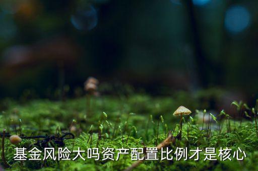  基金風險大嗎資產配置比例才是核心