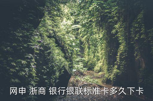 網申 浙商 銀行銀聯標準卡多久下卡