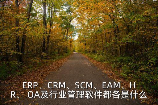 ERP、CRM、SCM、EAM、HR、 OA及行業(yè)管理軟件都各是什么