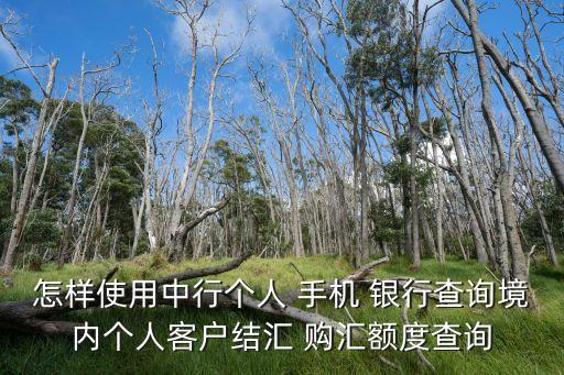 怎樣使用中行個人 手機 銀行查詢境內(nèi)個人客戶結(jié)匯 購匯額度查詢