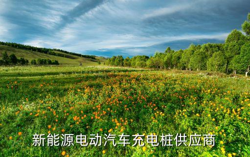 新能源電動(dòng)汽車(chē)充電樁供應(yīng)商
