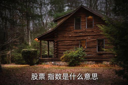 股票價(jià)格指數(shù)的含義,各股票價(jià)格指數(shù)的含義