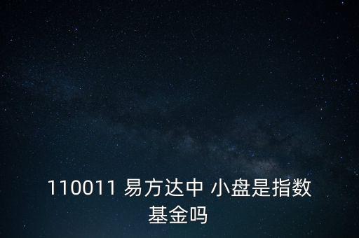 易方達中小盤股票