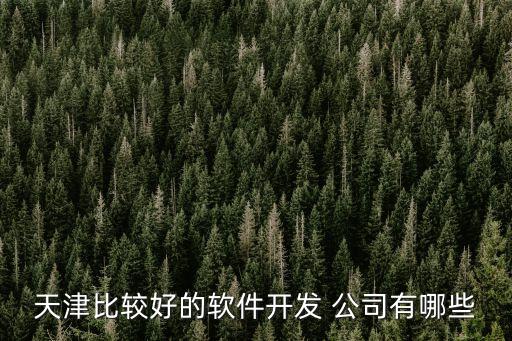 天津比較好的軟件開(kāi)發(fā) 公司有哪些