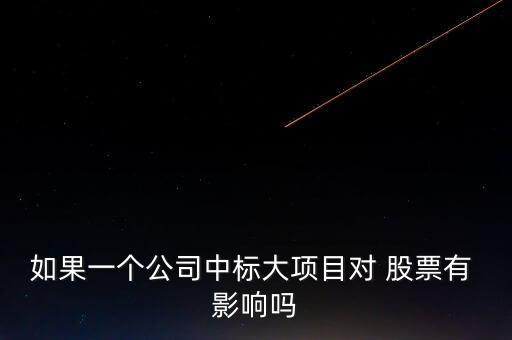 如果一個公司中標(biāo)大項目對 股票有 影響嗎