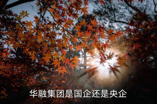 華融集團(tuán)是國(guó)企還是央企