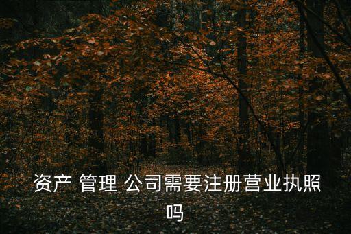  資產 管理 公司需要注冊營業(yè)執(zhí)照嗎