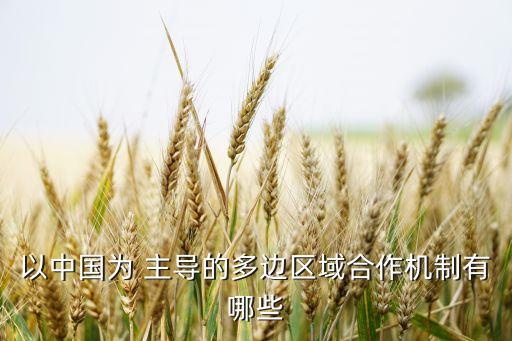 以中國(guó)為 主導(dǎo)的多邊區(qū)域合作機(jī)制有哪些