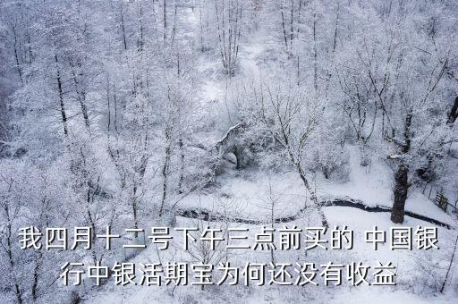 我四月十二號(hào)下午三點(diǎn)前買(mǎi)的 中國(guó)銀行中銀活期寶為何還沒(méi)有收益