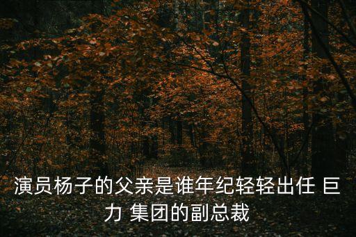 演員楊子的父親是誰年紀輕輕出任 巨力 集團的副總裁