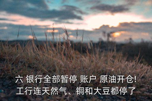 六 銀行全部暫停 賬戶 原油開倉!工行連天然氣、銅和大豆都停了