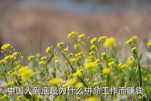 中國(guó)人到底是為什么拼命工作而賺錢(qián)