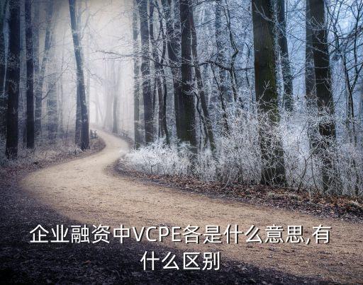 企業(yè)融資中VCPE各是什么意思,有什么區(qū)別
