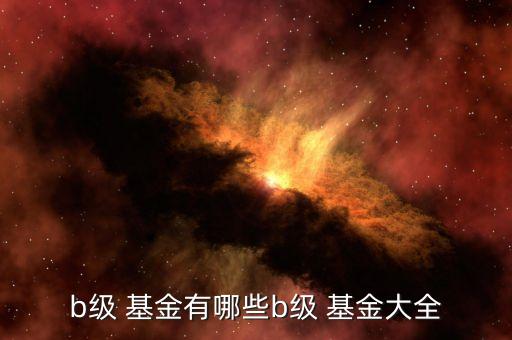 基金分級(jí)成功,分級(jí)基金a和b的區(qū)別