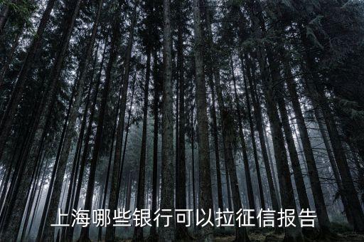 上海光大銀行周末營業(yè)時(shí)間,光大銀行伊春路支行 周末營業(yè)時(shí)間
