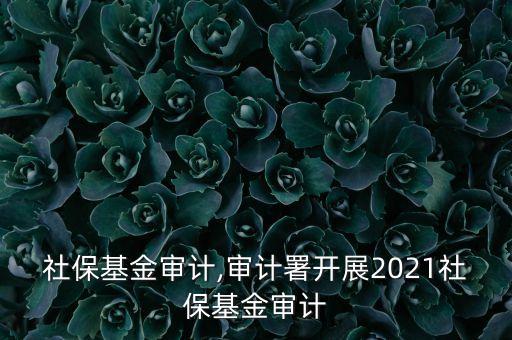 美國社?；饘徲?審計署開展2021社?；饘徲?/></a></span><span id=