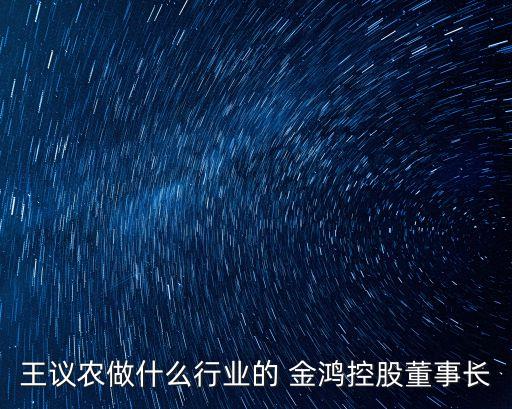 王議農(nóng)做什么行業(yè)的 金鴻控股董事長(zhǎng)