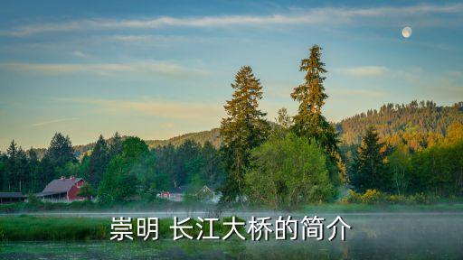 上海長江隧橋建設發(fā)展