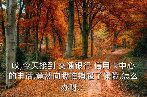 哎,今天接到 交通銀行 信用卡中心的電話,竟然向我推銷起了保險,怎么辦呀...