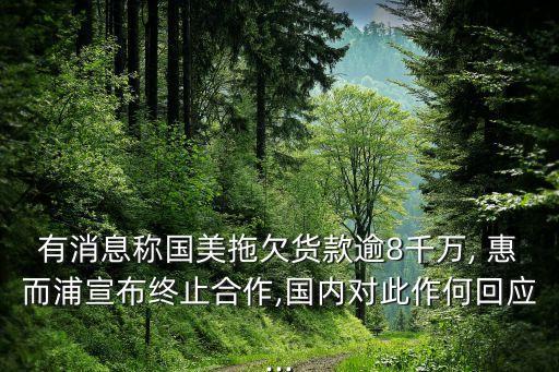 有消息稱國美拖欠貨款逾8千萬, 惠而浦宣布終止合作,國內(nèi)對此作何回應(yīng)...
