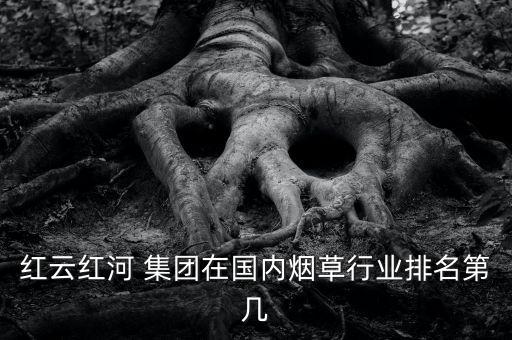 紅云紅河 集團在國內煙草行業(yè)排名第幾