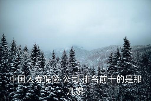 中國(guó)人壽保險(xiǎn) 公司 排名前十的是那幾家