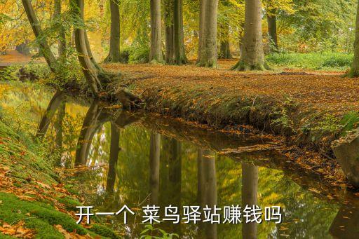 開一個 菜鳥驛站賺錢嗎