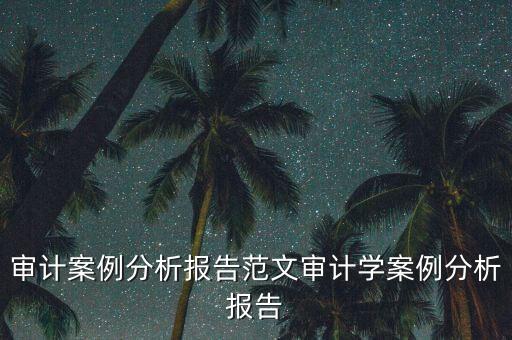 審計案例分析報告范文審計學案例分析報告