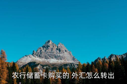 農(nóng)行儲(chǔ)蓄卡購(gòu)買的 外匯怎么轉(zhuǎn)出