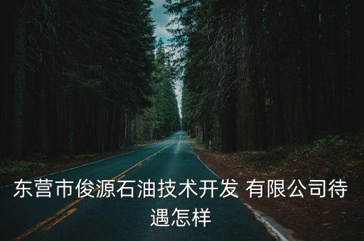 東營(yíng)市俊源石油技術(shù)開(kāi)發(fā) 有限公司待遇怎樣