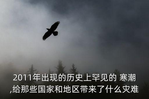 2011年出現(xiàn)的歷史上罕見的 寒潮,給那些國家和地區(qū)帶來了什么災(zāi)難