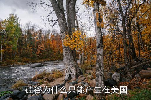  硅谷為什么只能產(chǎn)生在美國
