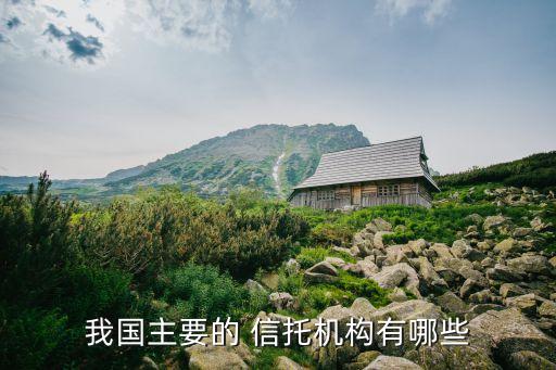 我國主要的 信托機構(gòu)有哪些