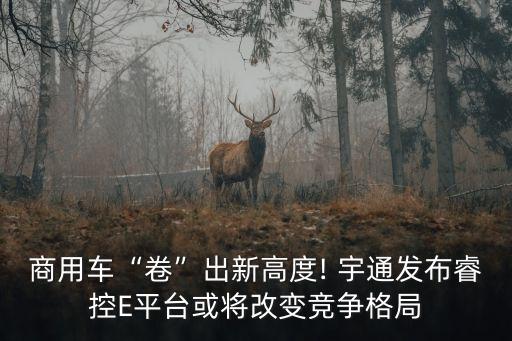商用車“卷”出新高度! 宇通發(fā)布睿控E平臺(tái)或?qū)⒏淖兏?jìng)爭(zhēng)格局