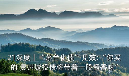 21深度丨“茅臺(tái)化債”見效:“你買的 貴州城投債將帶著一股醬香味”