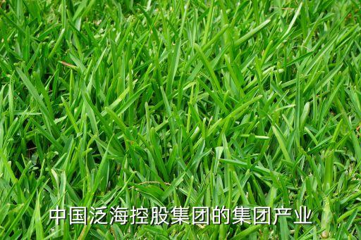 中國泛?？毓杉瘓F的集團產(chǎn)業(yè)