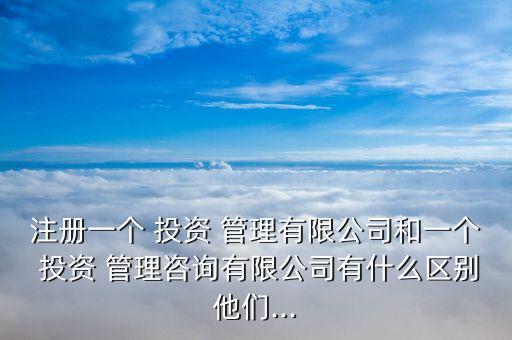 注冊一個(gè) 投資 管理有限公司和一個(gè) 投資 管理咨詢有限公司有什么區(qū)別他們...