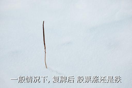 一般情況下, 復牌后 股票漲還是跌