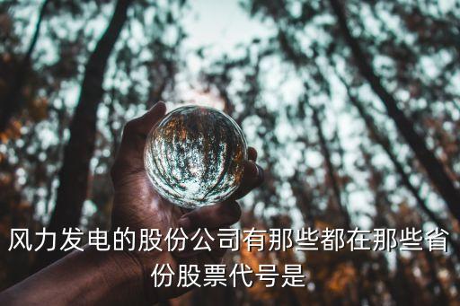 風(fēng)力發(fā)電的股份公司有那些都在那些省份股票代號(hào)是