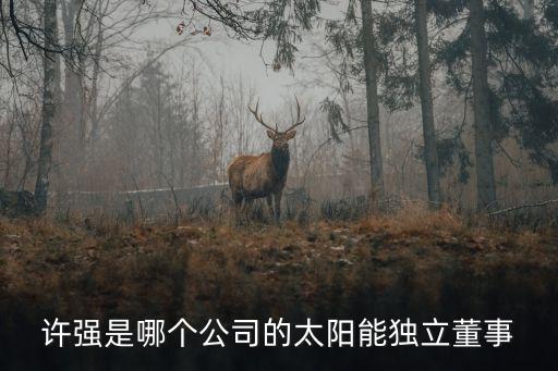 許強是哪個公司的太陽能獨立董事