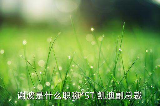 謝波是什么職稱(chēng)*ST 凱迪副總裁