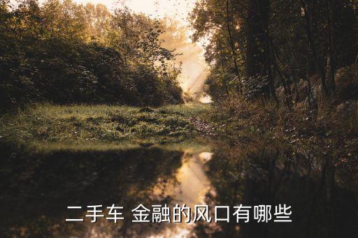 二手車(chē) 金融的風(fēng)口有哪些