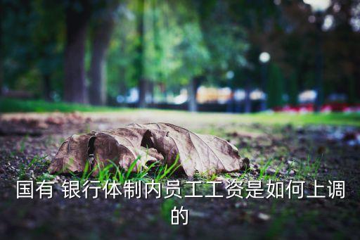 國有 銀行體制內(nèi)員工工資是如何上調(diào)的