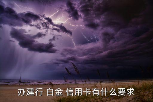 建設銀行白金信用卡辦卡條件