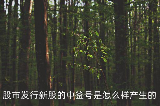 股市發(fā)行新股的中簽號是怎么樣產生的