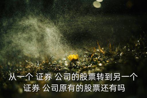 從一個(gè) 證券 公司的股票轉(zhuǎn)到另一個(gè) 證券 公司原有的股票還有嗎