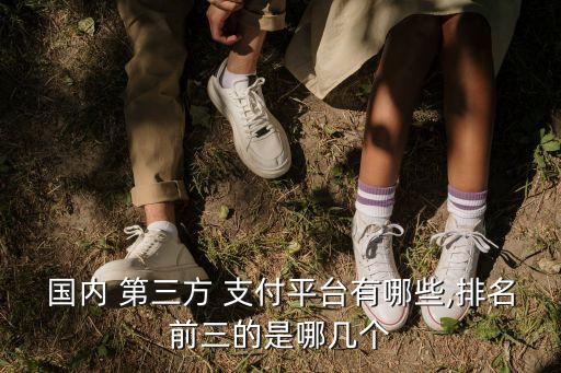 國內 第三方 支付平臺有哪些,排名前三的是哪幾個