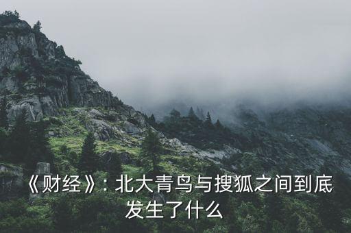 《財經》: 北大青鳥與搜狐之間到底發(fā)生了什么