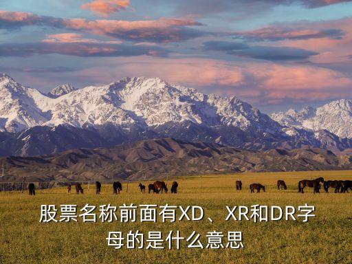  股票名稱前面有XD、XR和DR字母的是什么意思